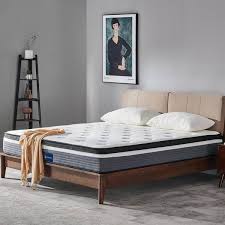 potctz 10 in queen mattress um firm