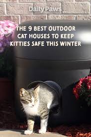 Outdoor Cat House Outdoor Cats