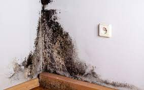 causes de l humidité dans les murs