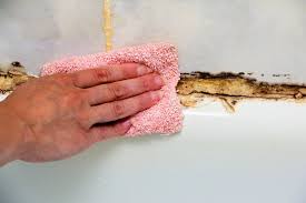 Mold On Bathroom Ceiling Wipe Out With