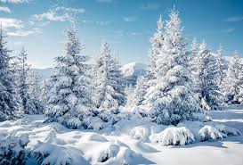Winter season winter season snow cold nature frost white trees woman landscape. Signs Of Winter