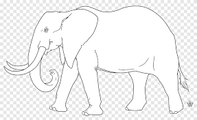 Gambar gambar gajah sketsa paling baru download now sketsa gambar. African Elephant Indian Elephant Pack Animal Mammal Sketch Horse White Png Pngegg