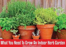 Indoor Herb Garden