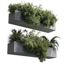 3d Model Wall Plant Hanging Plants