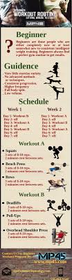 beginner workout routines visual ly