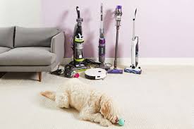 the 8 best vacuums for pet hair of 2024