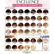 hudhud loreal paris excellence