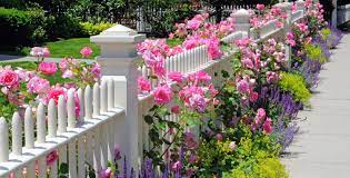 5 White Fence Ideas To Freshen Up Your