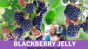 how to make perfect blackberry jelly so