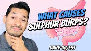 what causes sulphur burps you