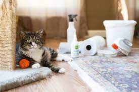 cat cleanup