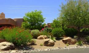 landscape boulders rocks in the garden