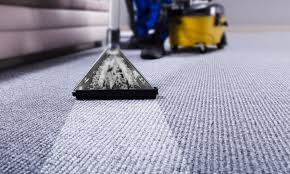 what to look for in a carpet cleaning