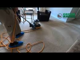 carpet cleaning business with 1300