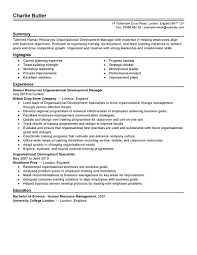 Best     Resume objective examples ideas on Pinterest   Career     Resume   Free Resume Templates Gallery   The Best Resumes The Best Resume Objective Statement Template  Intended For The Best Resumes