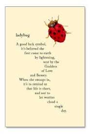 58 Best Ladybug Quotes Images Ladybug Ladybug Quotes
