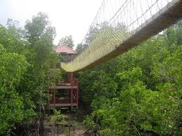 Image result for pulau kukup