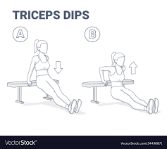 bench triceps dips female exercise