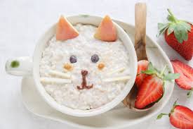 Cats are carnivores, so their bodies are bui. Can Cats Eat Oatmeal Love And Kisses Pet Sitting Nc