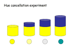 Perception Lecture Notes Color
