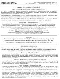 Project Manager   PMP  Resume  It Project Manager Resume samples