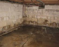 How To Fix A Wet Basement Family