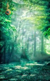 green forest cb picsart background hd