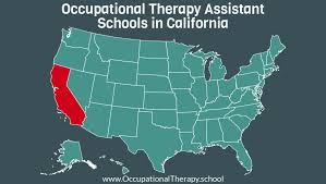 occupational therapy assistant schools