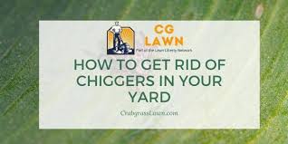 Oct 04, 2019 · contact your local cooperative extension office to get information about which pesticides work best for chiggers in your area and how to safely apply them. How To Get Rid Of Chiggers In Your Yard And Prevent Cg Lawn