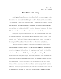 self portrait essay introduction custom paper example 