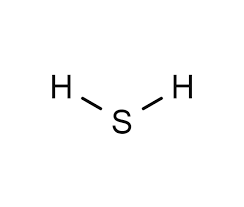 Image result for Hydrogensulfide (CAS 7783-06-4)