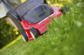 Before we started the applications, i had turf of 2 different colors. Lawn Mowing Service Near Me In Emerald Hills