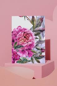 the peony symphony allegro fuchsia