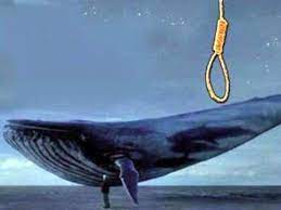 Blue whale is an android adaptation of the popular online game that was made famous in 2016 for being linked with massive teenage suicides. Blue Whale Challenge The Reality Behind The Theory Of Killer Game Blue Whale