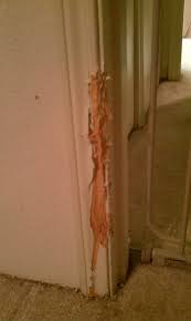 How do I fix a door frame that my dog chewed? - Home Improvement Stack  Exchange