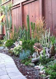 Succulents Garden Succulent Landscaping