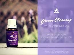 green cleaning with lavender essential oil