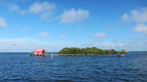 6 Things To Do On And Around Sanibel Island Florida