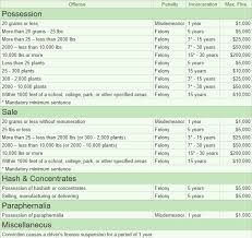 Florida Marijuana Laws 2019 Learn Sativa The Authority