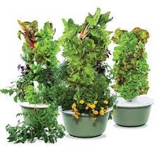 for a vertical garden aeroponics