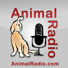 Listen To Animal Radio Podcast Deezer