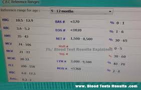 Normal Cbc Values For A Baby 9 12 Month Age Blood Test