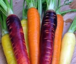 organic vegetables storage tips and