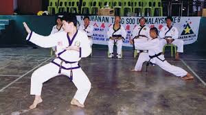 Tang soo do