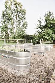 stock tank garden beds