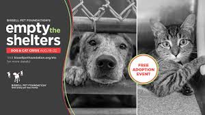 Think you missed the boat on fostering a pet during the pandemic? Adopt A Pet Maricopa County Az