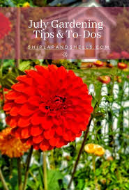 July Gardening Tips And To Dos For The