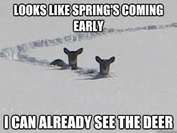 Image result for is spring coming