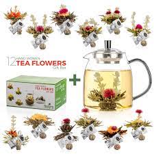 glass teapot 12 blooming tea gift set