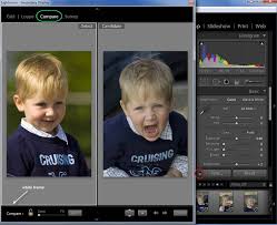Photos your camera captures look different than how we see. Lightroom Secret Revealed How To See Two Images Side By Side As You Develop One Or Both Laura Shoe S Lightroom Training Tutorials And Tips